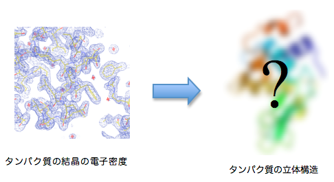 タンパク質の結晶の電子密度とタンパク質の立体構造