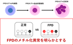 家族性血小板異常症（FPD)のエピゲノム解析